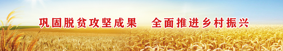 脫貧攻堅(jiān) 鄉(xiāng)村振興